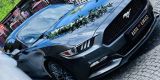 Grafitowy Ford Mustang | Auto do ślubu Babiak, wielkopolskie - zdjęcie 2