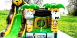 Panda i Tygrys Animacje | Animator dla dzieci Nysa, opolskie - zdjęcie 6