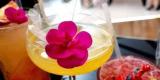 Mobilne Drink Bary Marek Rumak | Barman na wesele Otwock, mazowieckie - zdjęcie 2