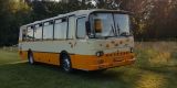 Bart Bus zabytkowy autobus - przewóz gości weselnych retro autobusem, Cisie - zdjęcie 5