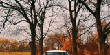Auto do ślubu Dodge Charger  5.7 HEMI V8, Górzyca - zdjęcie 4