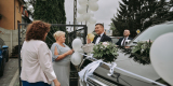 Fotograf Ślubny Ślub i wesele, Warszawa - zdjęcie 6