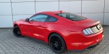Ford Mustang GT V8 5.0 czerwony | Auto do ślubu Krosno, podkarpackie - zdjęcie 2