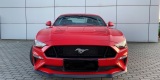 Ford Mustang GT V8 5.0 czerwony | Auto do ślubu Krosno, podkarpackie - zdjęcie 3