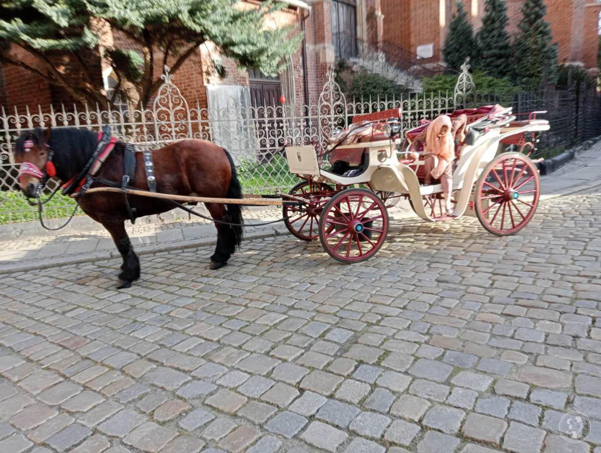 Zapraszamy na wyjątkową przejażdżkę dorożką konną , Wrocław - zdjęcie 1