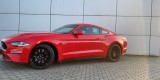 Ford Mustang GT V8 5.0 czerwony | Auto do ślubu Krosno, podkarpackie - zdjęcie 4