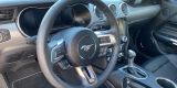 Ford Mustang GT V8 5.0 czerwony | Auto do ślubu Krosno, podkarpackie - zdjęcie 5