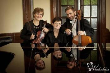 Trio Muzyczne ARTE, Oprawa muzyczna ślubu Borne Sulinowo