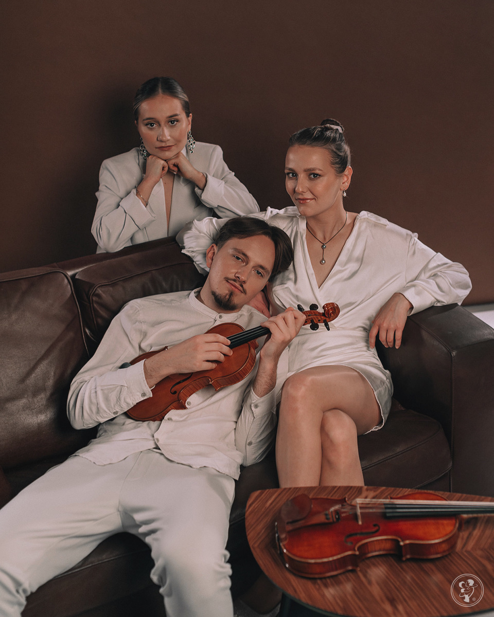 Zespół Akade Trio | Oprawa muzyczna ślubu Gdańsk, pomorskie - zdjęcie 1
