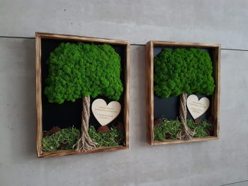 Wood and Plants - podziękowania dla rodziców, drzewko z mchu chrobotka | Prezenty ślubne Kraków, małopolskie