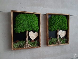 Wood and Plants - podziękowania dla rodziców, drzewko z mchu chrobotka,  Kraków