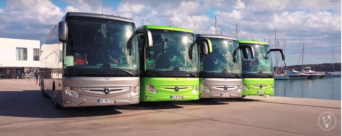 Orłowscy. Autokary Busy Vip - Transport Business Class | Wynajem busów Warszawa, mazowieckie - zdjęcie 1