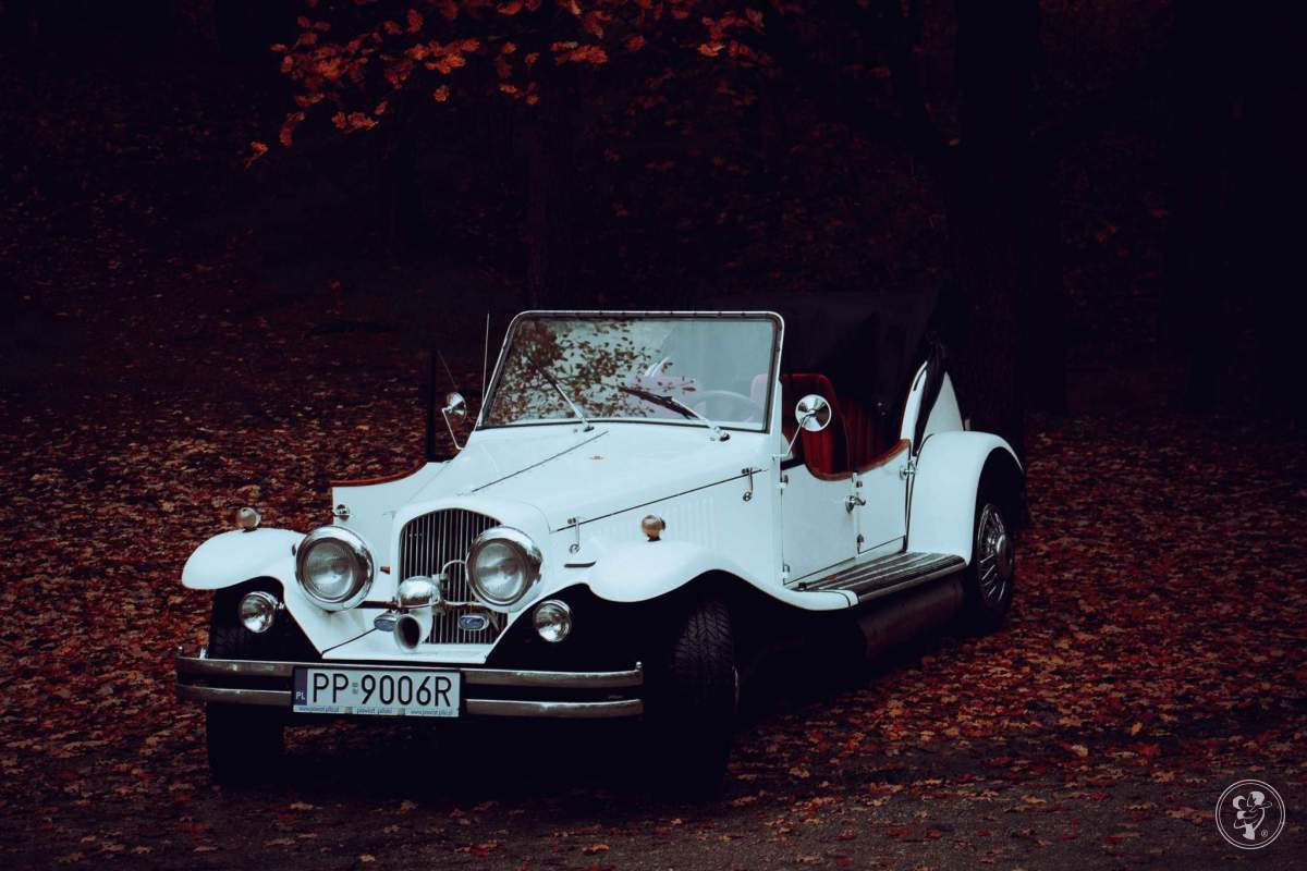 Biały Alfa Romeo Nestor | Auto do ślubu Piła, wielkopolskie - zdjęcie 1