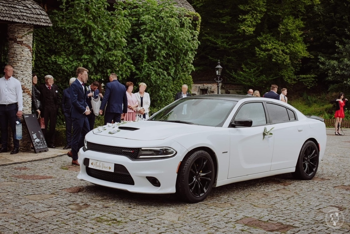 Dodge Charger V8 do ślubu, Wrocław - zdjęcie 1