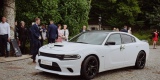 Dodge Charger V8 - Muscle Carem | Auto do ślubu Wrocław, dolnośląskie - zdjęcie 3