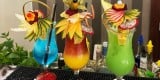 Drink Up! Cocktail Bar - zawodowi barmani !!! RABAT na 2023r. !!!, Warszawa - zdjęcie 3
