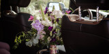 Bode Lux (NL) Wynajem Dodge Ram 1500 Longhorn (2019r.) do slubu | Auto do ślubu Sypniewo, wielkopolskie - zdjęcie 3