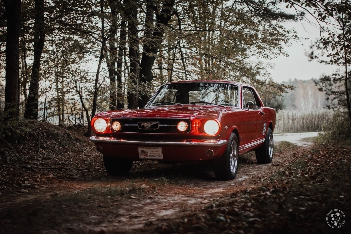 Ford Mustang z 1966 roku na wesele. Klasyk do ślubu, Rzeszów - zdjęcie 1