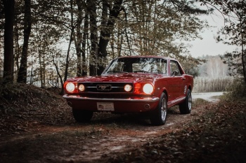 Ford Mustang z 1966 roku na wesele. Klasyk do ślubu, Samochód, auto do ślubu, limuzyna Błażowa