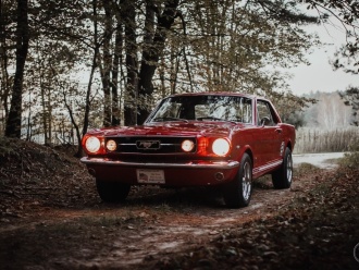 Ford Mustang z 1966 roku na wesele. Klasyk do ślubu,  Rzeszów
