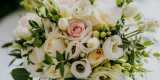 Studio Ślubne NM - Dekoracje | Florystyka | Wedding Designer, Ostrowy Tuszowskie - zdjęcie 3