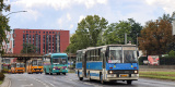 Zabytkowy autobus na ślub, wesele lub spotkanie towarzyskie | Wynajem busów Wrocław, dolnośląskie - zdjęcie 3