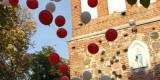 Balony z helem/ Dekoracje balonowe GRUPA HAPPY, Olsztyn - zdjęcie 6