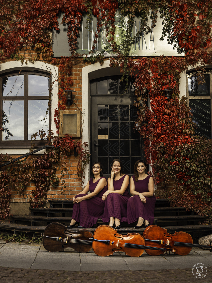Kobiece Trio Wiolonczelowe | Oprawa muzyczna ślubu Olsztyn, warmińsko-mazurskie - zdjęcie 1
