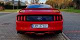 Ford Mustang GT 5.0 | Auto do ślubu Myślenice, małopolskie - zdjęcie 3