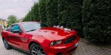 Mustangiem do ślubu | Auto do ślubu Krosno, podkarpackie - zdjęcie 3