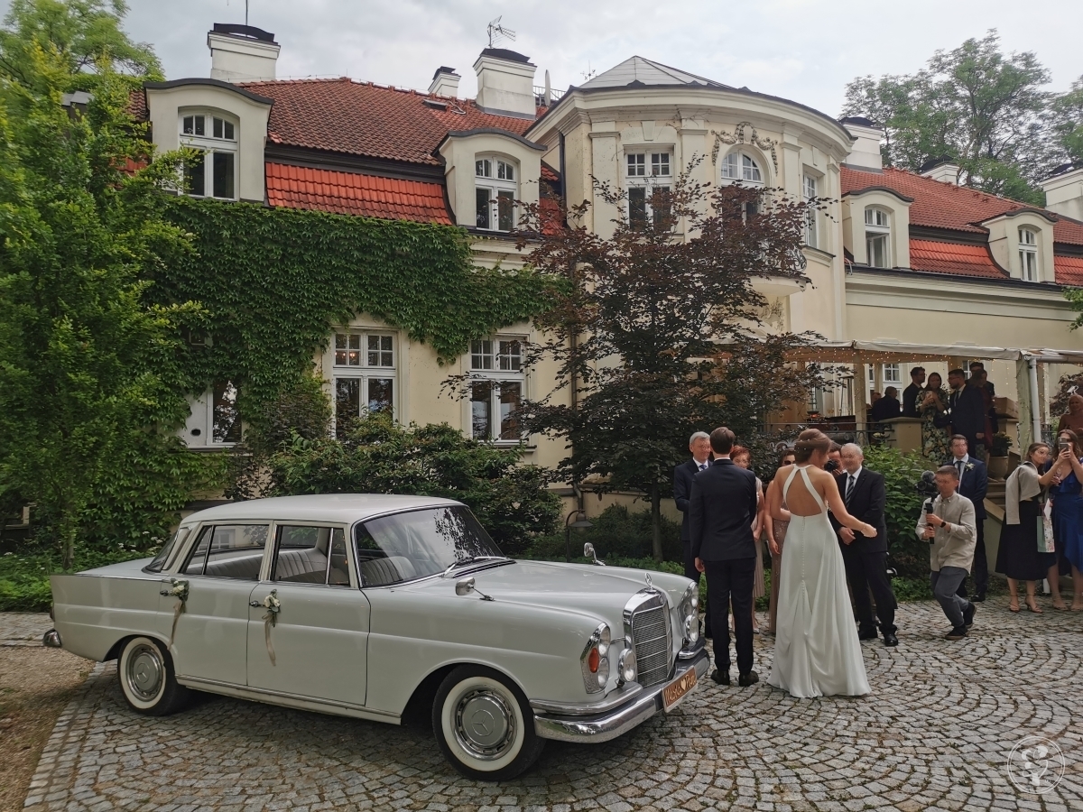 RETRO Auta do ślubu MERCEDES W110 i W111  zabytkowe, na wesele, Toruń - zdjęcie 1