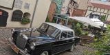 Mercedes W110 i W111 | Auto do ślubu Toruń, kujawsko-pomorskie - zdjęcie 3