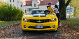 Żółty Chevrolet Camaro Transformers | Auto do ślubu Dąbrowa Górnicza, śląskie - zdjęcie 2