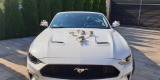Biały Ford Mustang Cabrio | Auto do ślubu Rzeszów, podkarpackie - zdjęcie 6