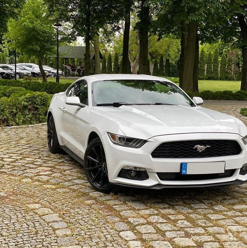Ford Mustang V6 320KM do ślubu Biały | Auto do ślubu Luboń, wielkopolskie - zdjęcie 1