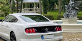 Ford Mustang V6 320KM do ślubu Biały, Luboń - zdjęcie 2