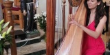Harfa 47 - oprawa muzyczna ślubu i uroczystości weselnych, Wrocław - zdjęcie 4