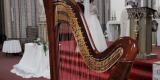 Harfa 47 - oprawa muzyczna ślubu i uroczystości weselnych, Wrocław - zdjęcie 5