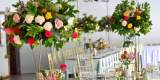 Bajeczny Ślub dekoracje  weselne, florystyka okolicznościowa, dodatki | Dekoracje ślubne Świdnica, dolnośląskie - zdjęcie 3