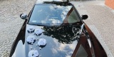 Audi A8L samochód do ślubu, luksusowa limuzyna z kierowcą, Szczecin - zdjęcie 5