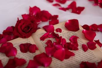 Świeże płatki róż i kwiaty cięte wysyłane na całą Polskę, Artykuły ślubne Częstochowa