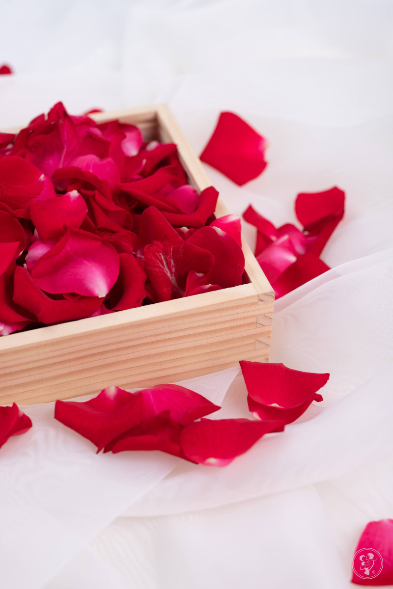 Naturalne czerwone płatki róż - zdjęcie 1