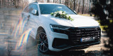 Białe Audi Q8 | Auto do ślubu Paniówki, śląskie - zdjęcie 3
