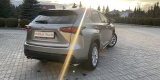 Stylowy i nowoczesny LEXUS NX, Mielec - zdjęcie 3