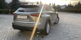 Stylowy i nowoczesny LEXUS NX | Auto do ślubu Mielec, podkarpackie - zdjęcie 3