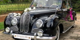 Czarne BMW 501 1955 r. | Auto do ślubu Częstochowa, śląskie - zdjęcie 2