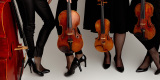 Kwartet smyczkowy PRO MUSIC | Oprawa muzyczna ślubu Olsztyn, warmińsko-mazurskie - zdjęcie 6