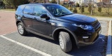 Samochód do ślubu - Luksusowy Land Rover Discovery Sport, Białystok - zdjęcie 2