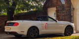 Mustang Biały sam prowadzisz! Tesla Cadillac Alfa Powóz 10 samochodów, Sieradz - zdjęcie 2