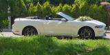 Mustang Biały sam prowadzisz! Tesla Cadillac Alfa Powóz 10 samochodów, Sieradz - zdjęcie 3